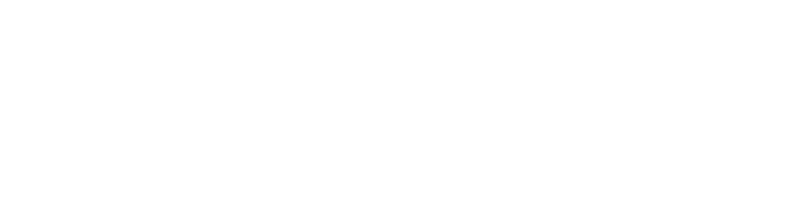 Archova Primary Logo - White
